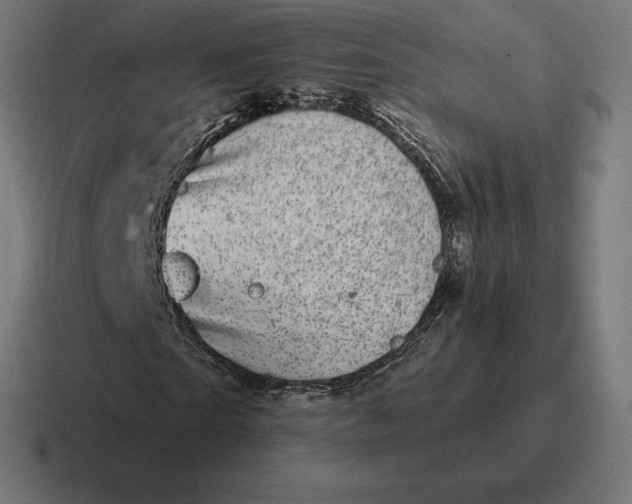 X0000116810865200912311954