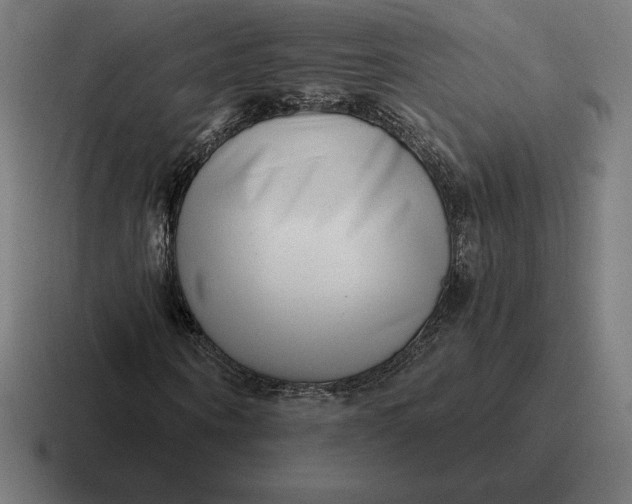 X0000116810866200912311954