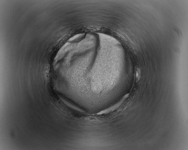 X0000116810867200912311954