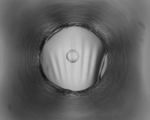 X0000116810868200912311954