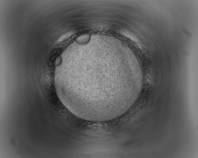 X0000116810869200912311954