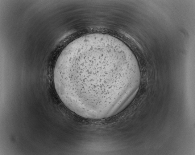 X0000116810870200912311953