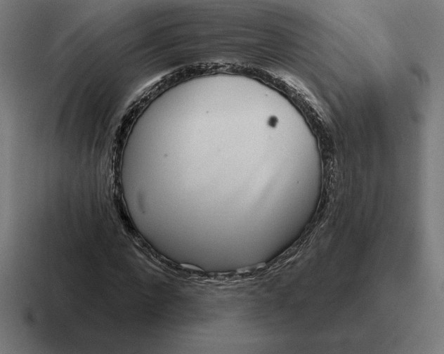 X0000116810872200912311953