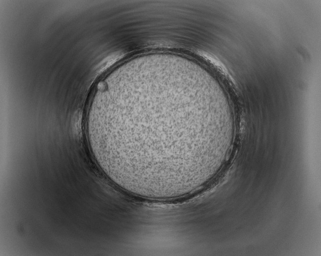 X0000116810873200912311953