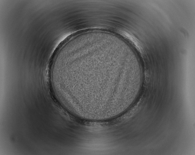 X0000116810875200912311953