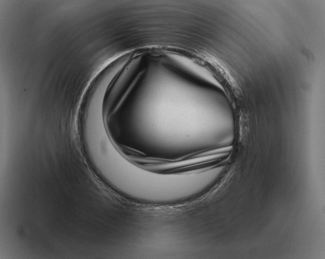 X0000116810876200912311953