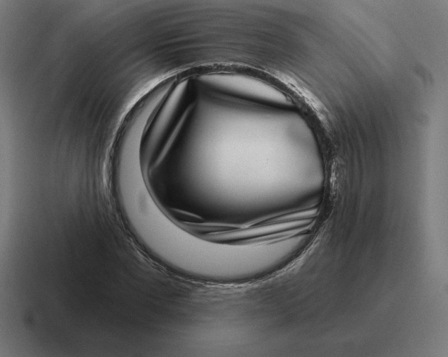 X0000116810877200912311953