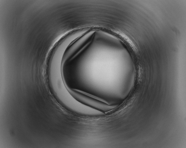 X0000116810878200912311953