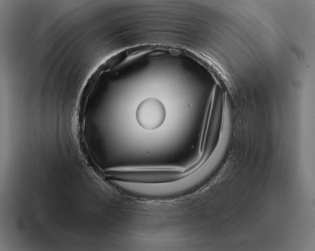 X0000116810880200912311953