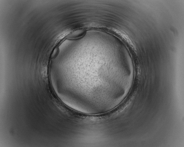 X0000116810881200912311953