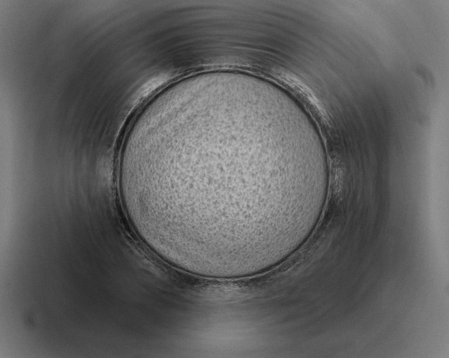 X0000116810882200912311953