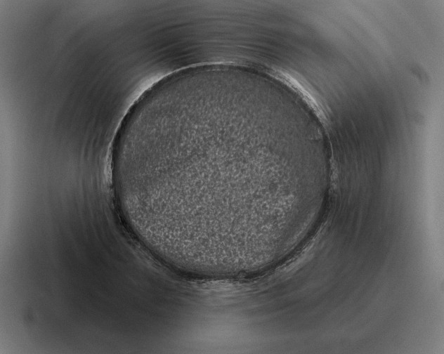 X0000116810883200912311953