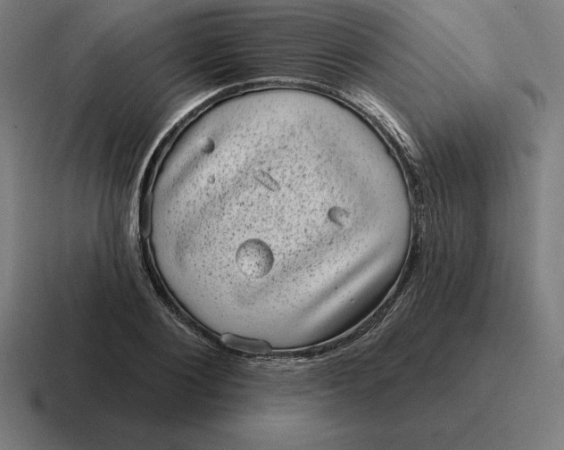 X0000116810884200912311953