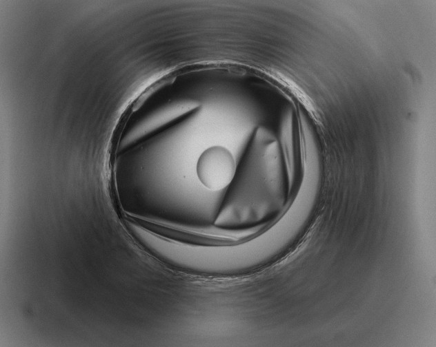 X0000116810885200912311953