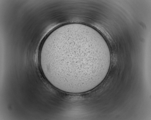 X0000116810886200912311953