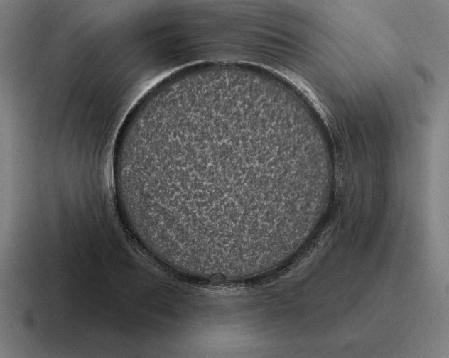 X0000116810887200912311953