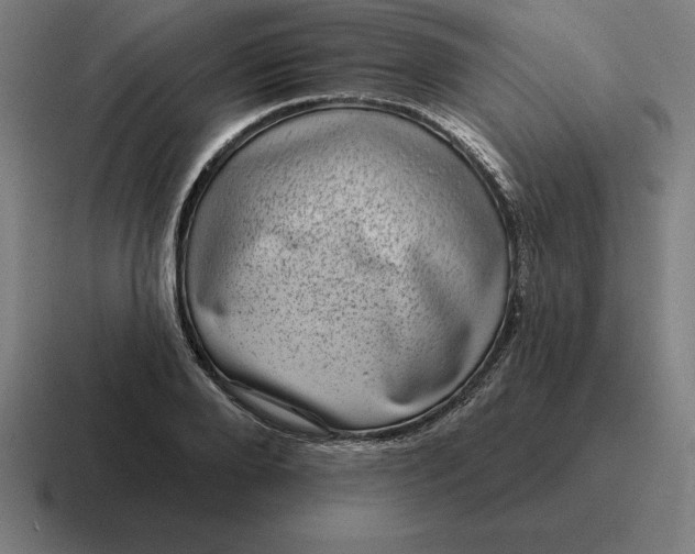 X0000116810888200912311953