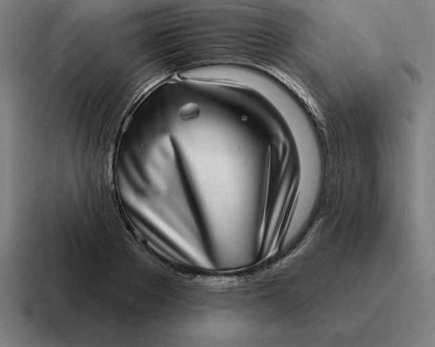 X0000116810889200912311953