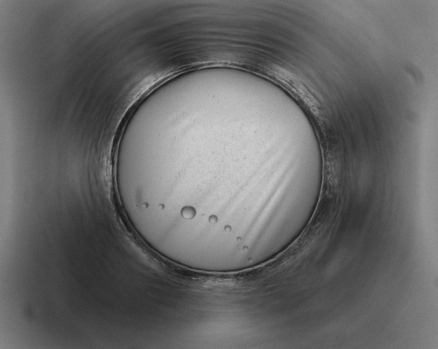 X0000116810890200912311953