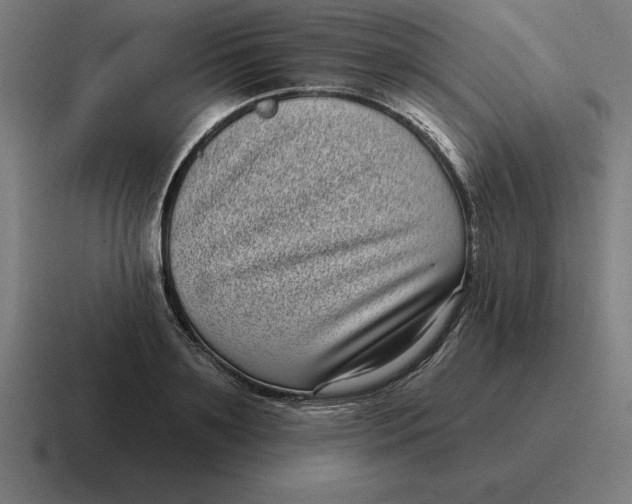 X0000116810891200912311953