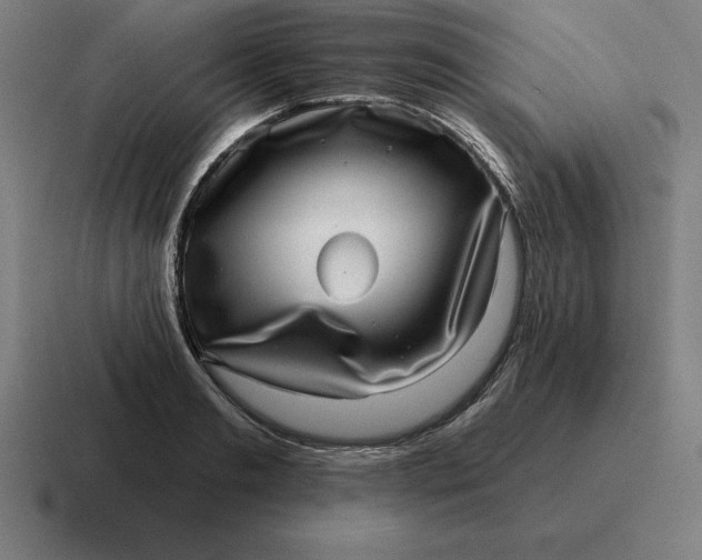 X0000116810893200912311953