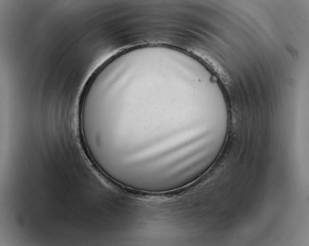 X0000116810894200912311953