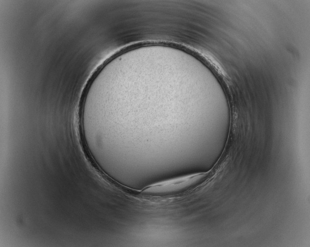 X0000116810895200912311953