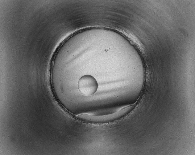 X0000116810896200912311953