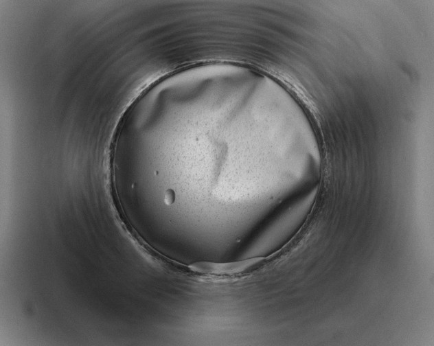 X0000116810898200912311953