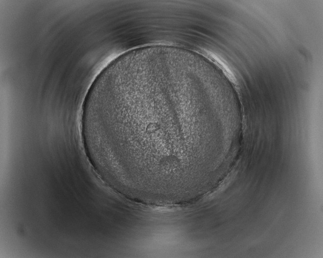 X0000116810899200912311953