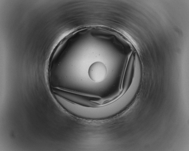 X0000116810901200912311953