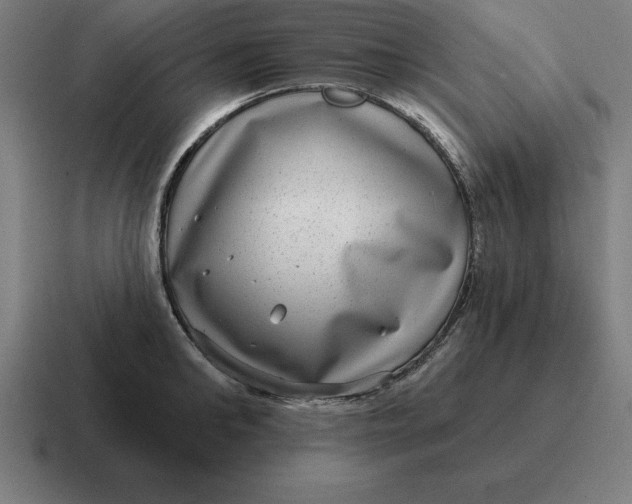 X0000116810902200912311953