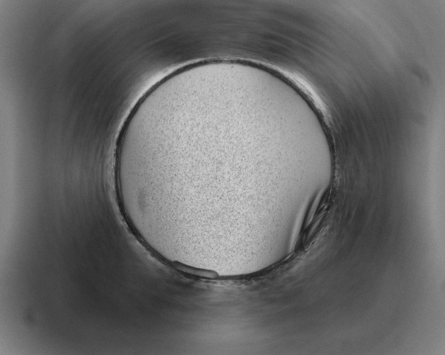 X0000116810903200912311953