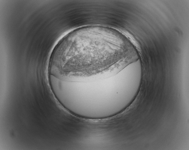 X0000116810904200912311953