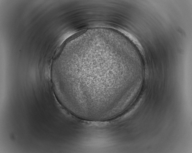 X0000116810905200912311953