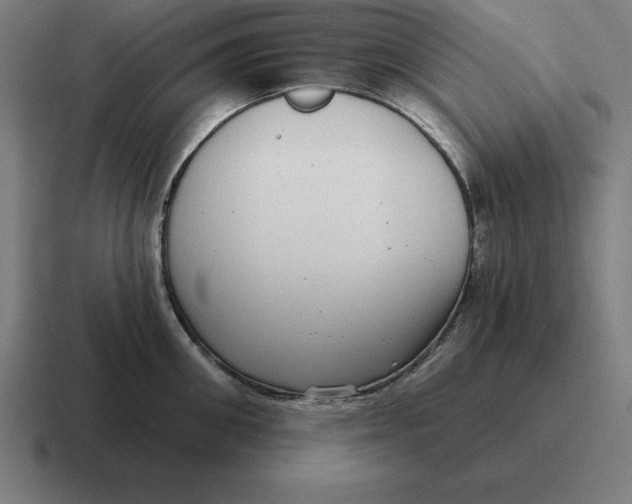 X0000116810906200912311953