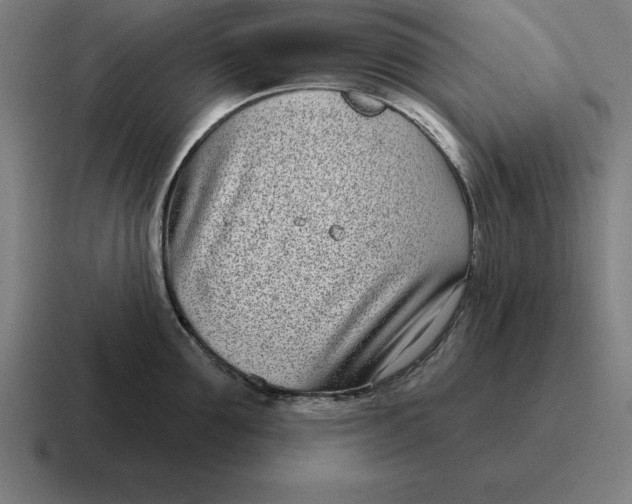 X0000116810907200912311953