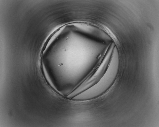 X0000116810908200912311953