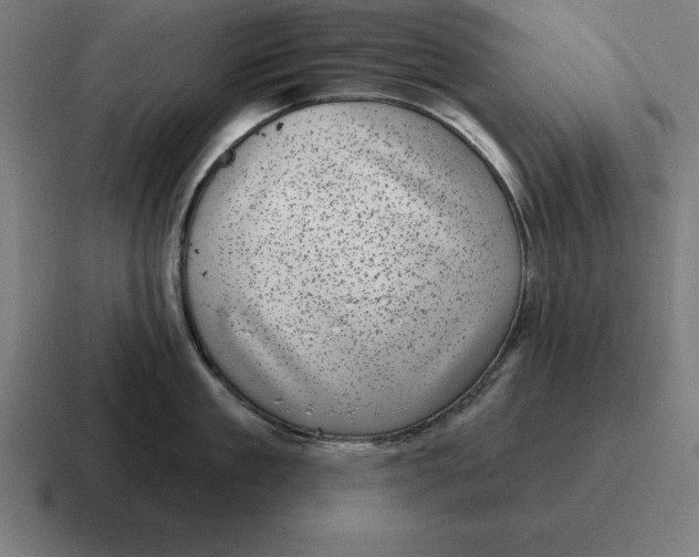 X0000116810909200912311953