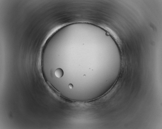 X0000116810910200912311953