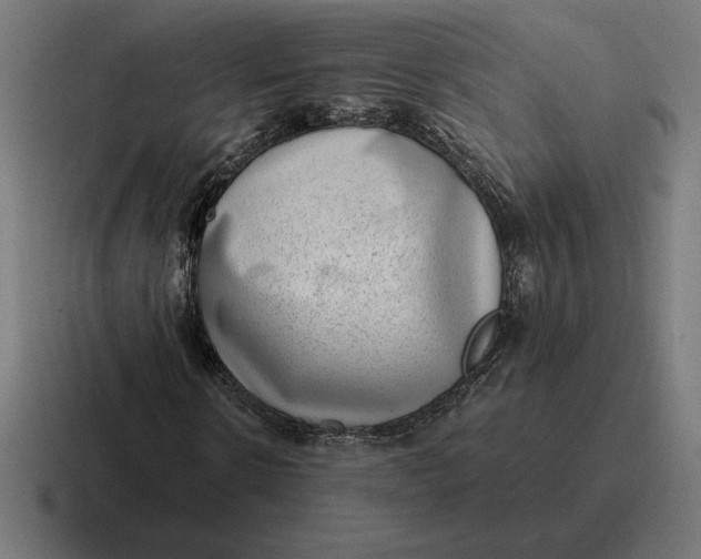 X0000116810914200912311952