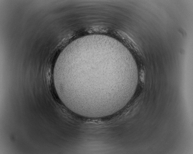 X0000116810915200912311952