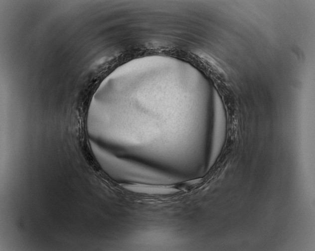 X0000116810917200912311952