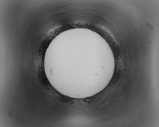 X0000116810918200912311952