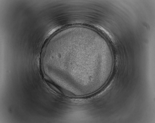 X0000116810921200912311952