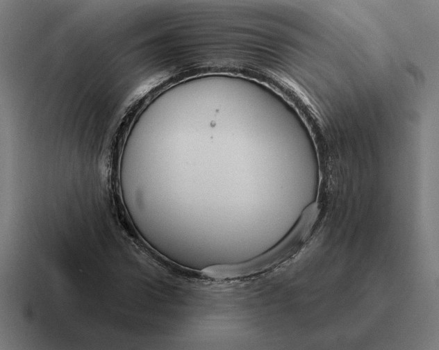 X0000116810922200912311952