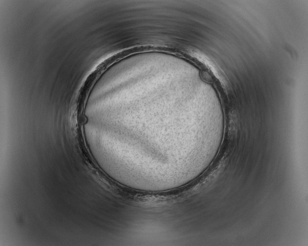 X0000116810923200912311952