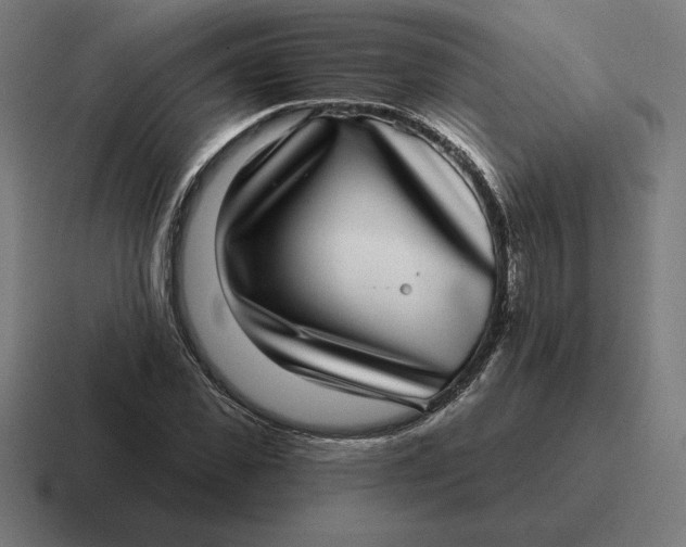 X0000116810925200912311953