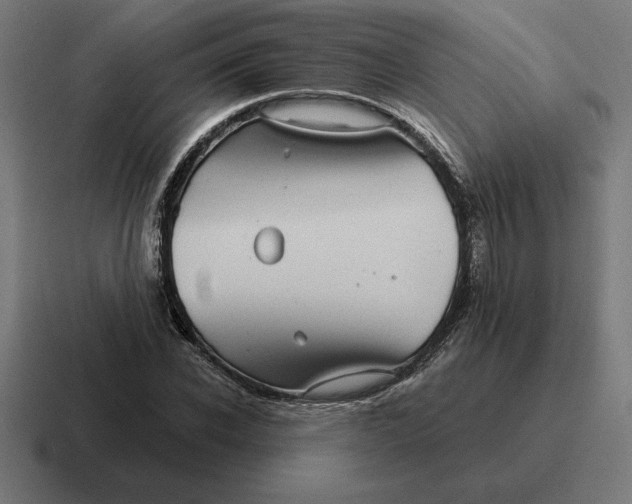 X0000116810926200912311953