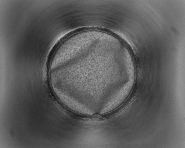 X0000116810927200912311953